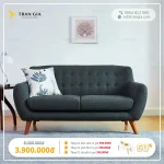 Ghế Sofa băng 2 chổ ngồi giá rẻ - TG06 12 Mẫu sofa giá rẻ đẹp chất lượng bán chạy (18)