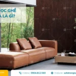 Da bọc ghế sofa là gì_