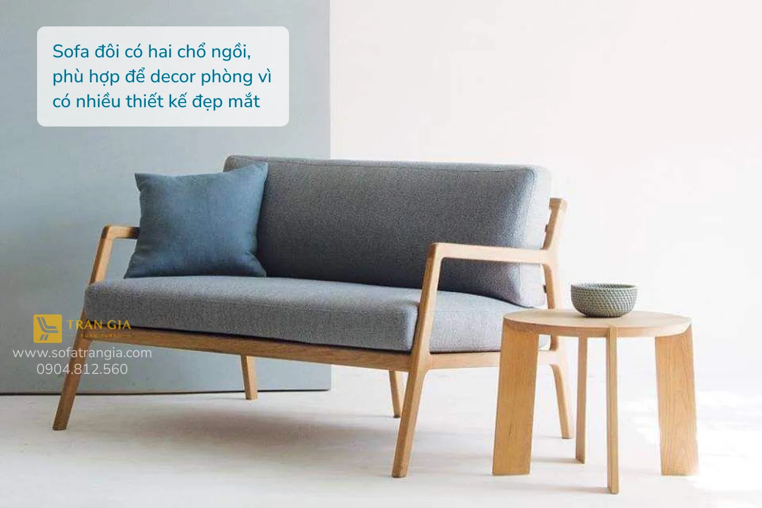 Sofa đôi có hai chổ ngồi, phù hợp để decor phòng vì có nhiều thiết kế đẹp mắt